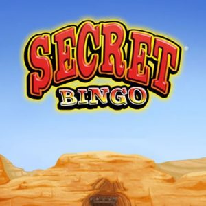 Juego Secret Bingo